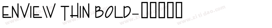 Enview Thin Bold字体转换